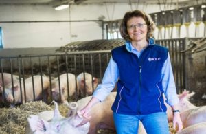 "Malin Slåtterman i grisstall>